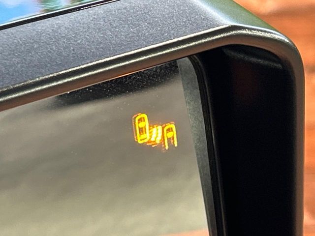 21761146