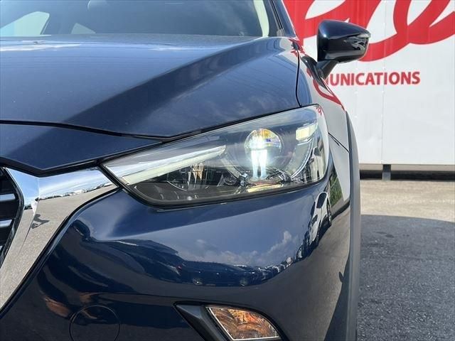 21765530