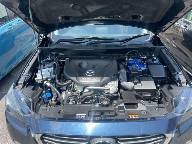 21765530