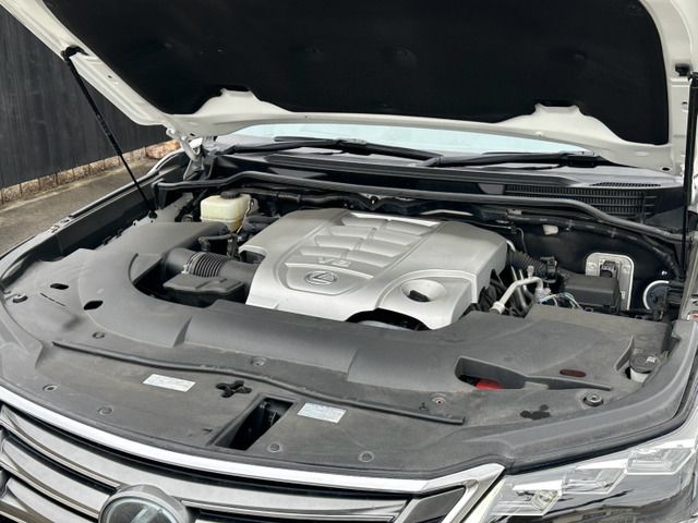 21765577