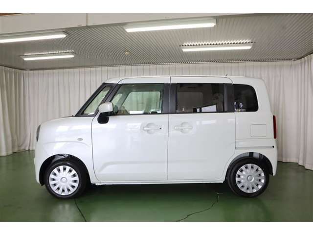 21800081