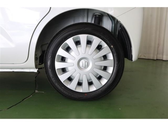 21800081
