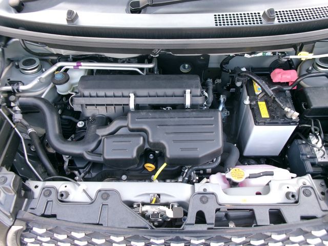 21850125