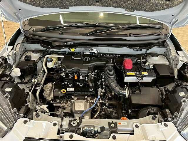 21862081