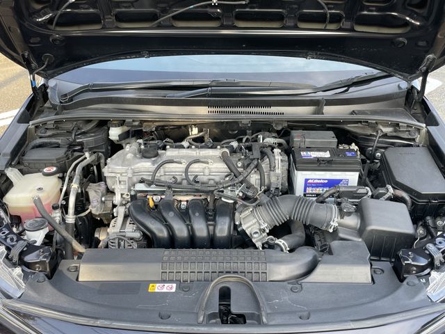 21900054