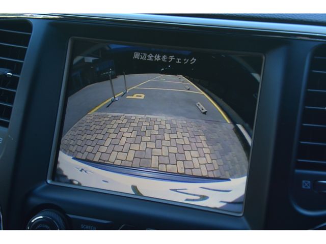 21920061