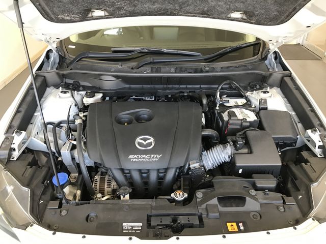 21950003