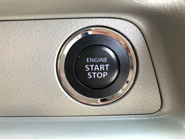 21950033