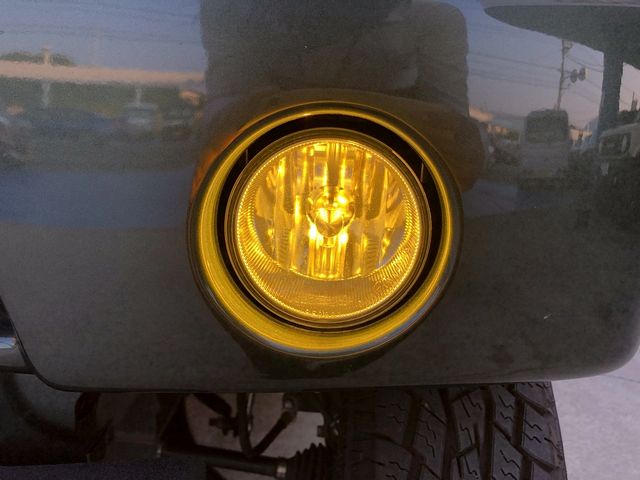 21950033