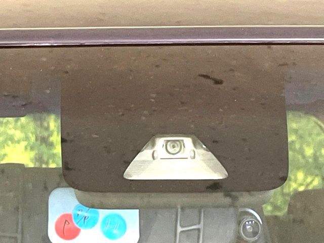 21960721