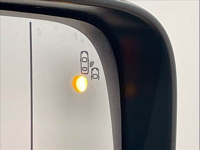 21960765