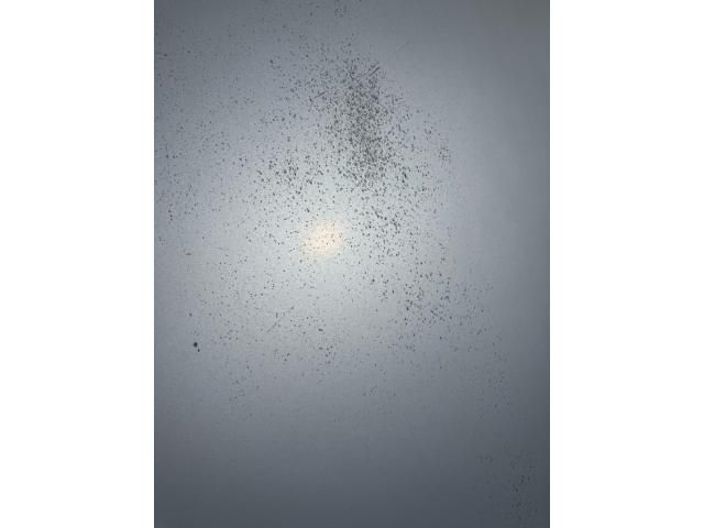 21965376