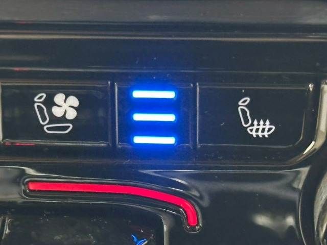 22060419