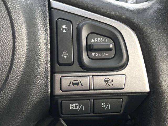22062661