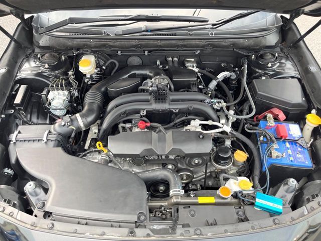 22062661