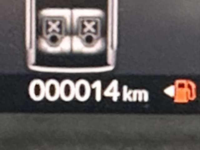 22161838