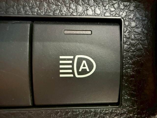 22162462