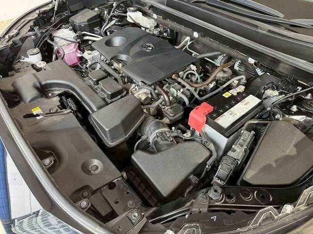 22162462