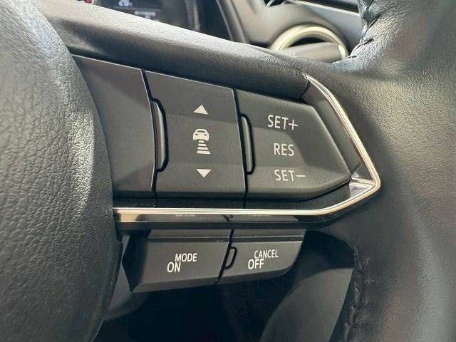 22162482