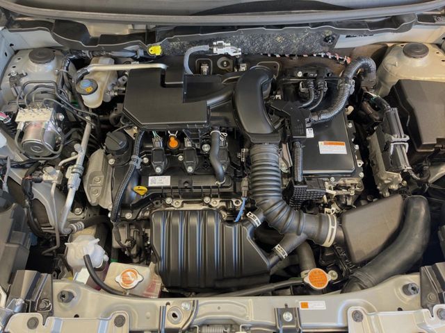 22162916