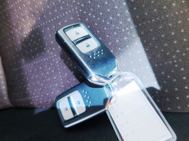 22250079