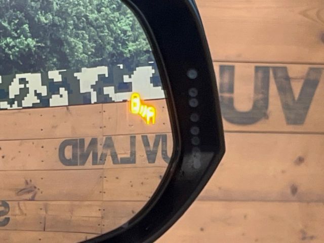 22360321