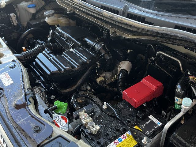 22365116