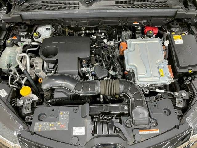 22560118