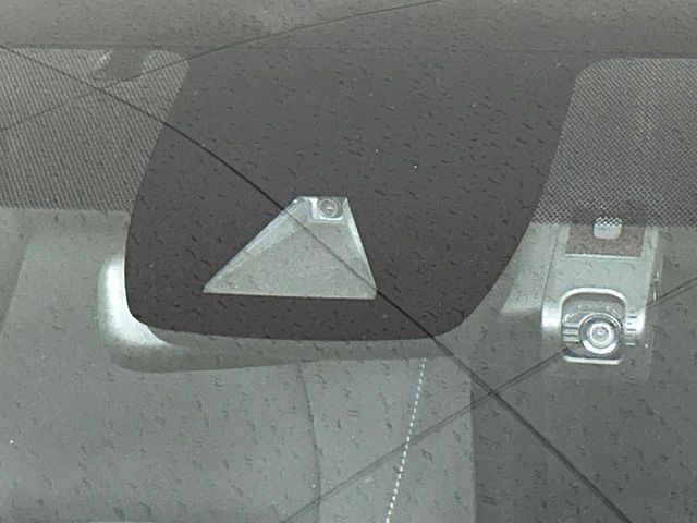 22560481