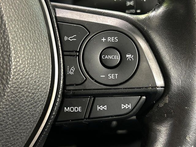 22560481