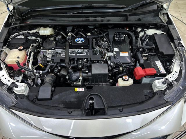 22560481