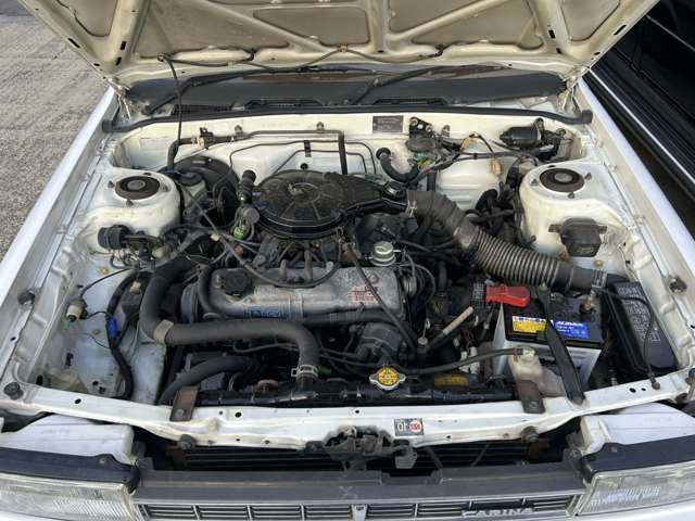 22800008