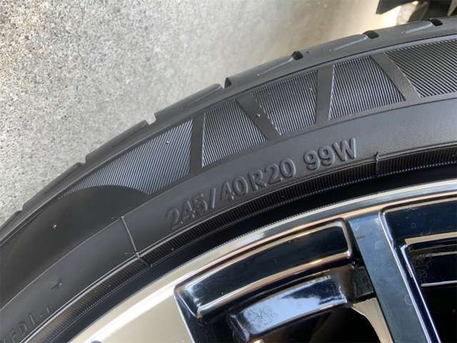 23061557