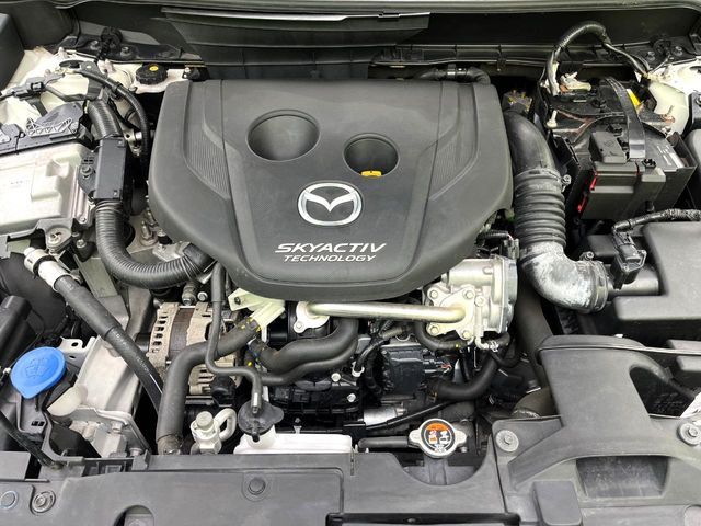 23161655