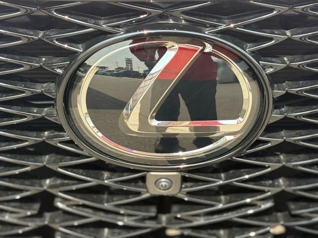 23250099