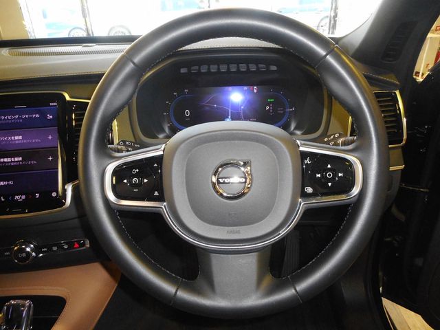 23250113