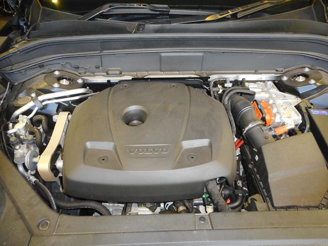 23250113