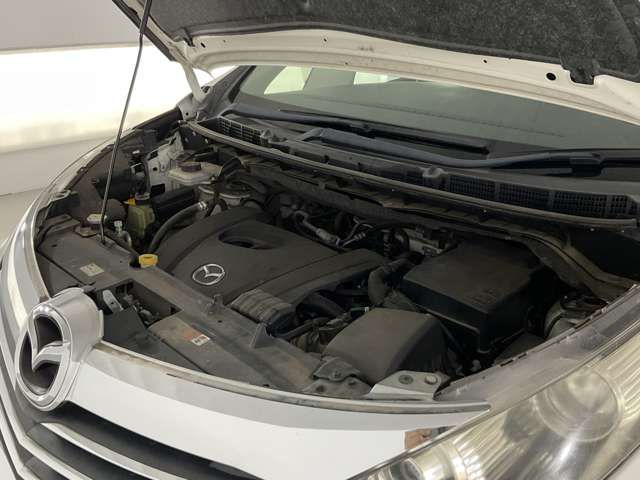 23260023