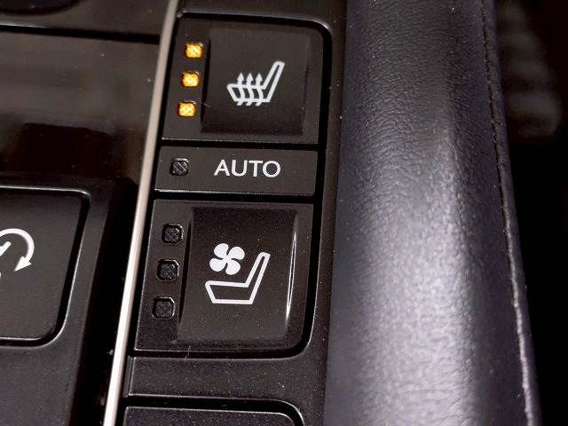23261118