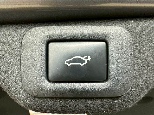 23261286