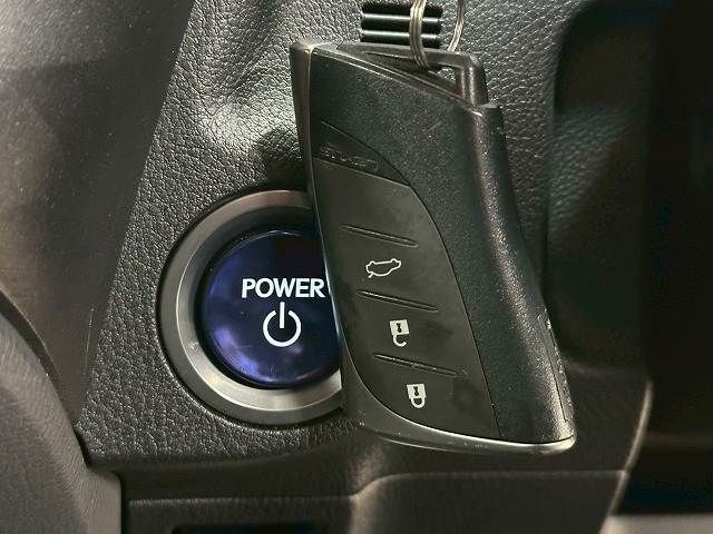 23261286
