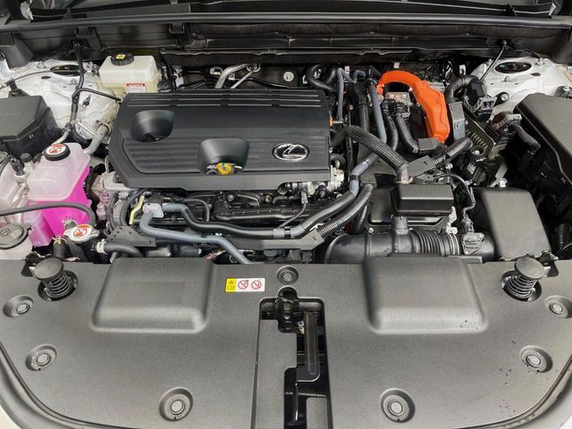 23261591