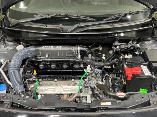 23261673