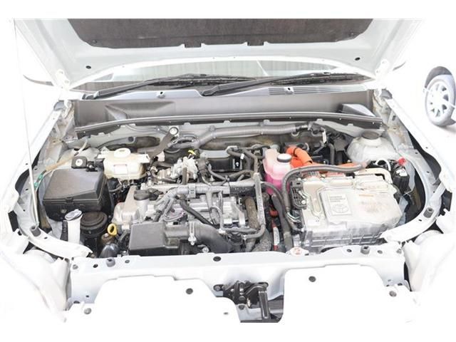 23265879