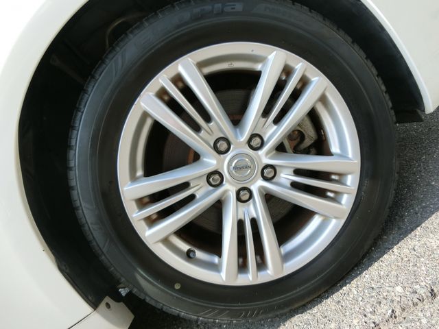 23350277