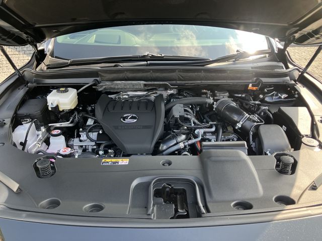 23450201