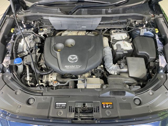 23560268