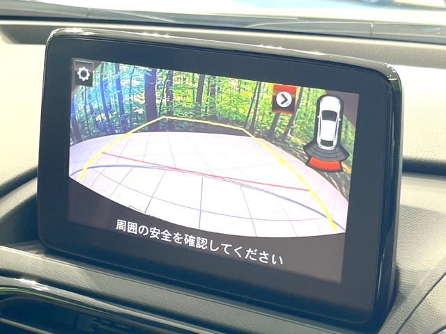 23561946