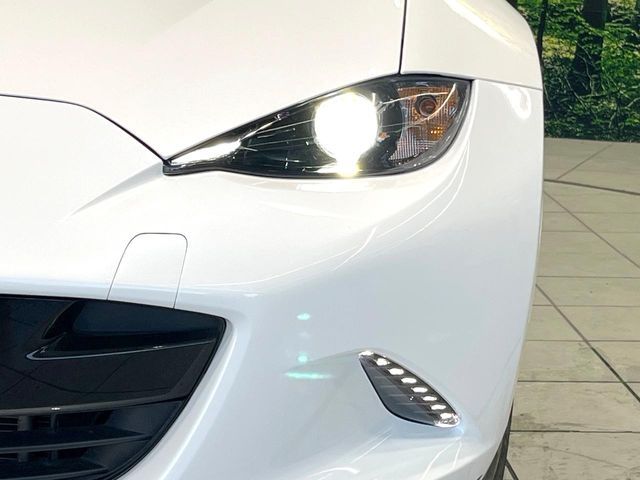 23561946