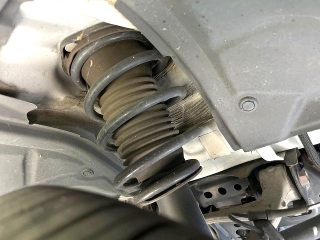 23561946
